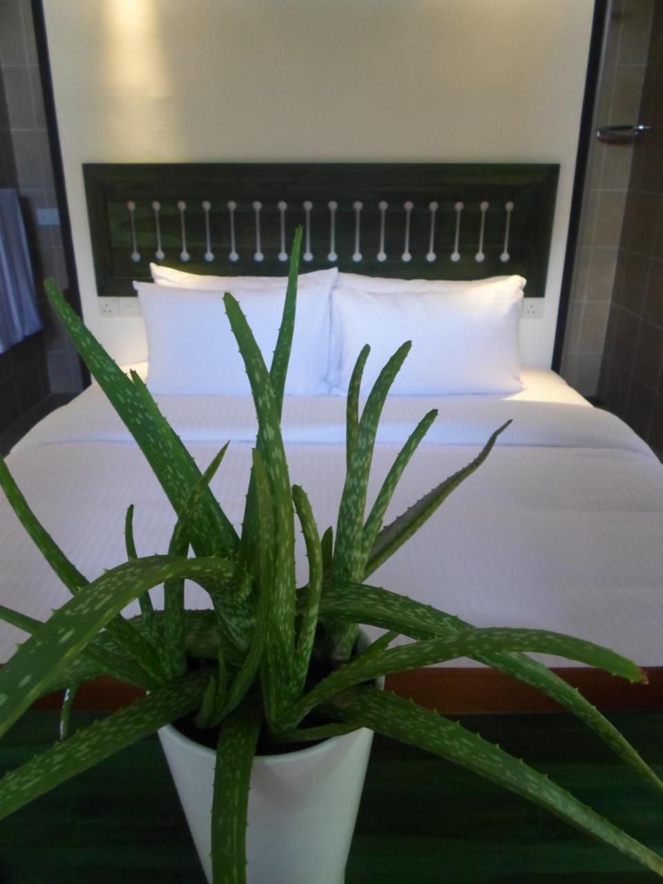 Sennya Resorts Belihuloya Extérieur photo